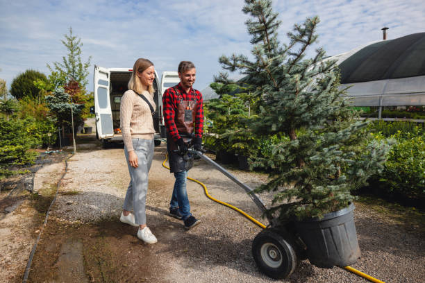 Best Fruit Tree Pruning  in North Lima, OH